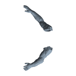 Geist Armor Arms
