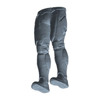Geist Armor Legs