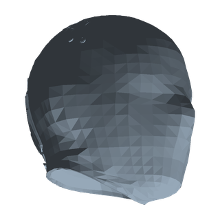 Brace Mask