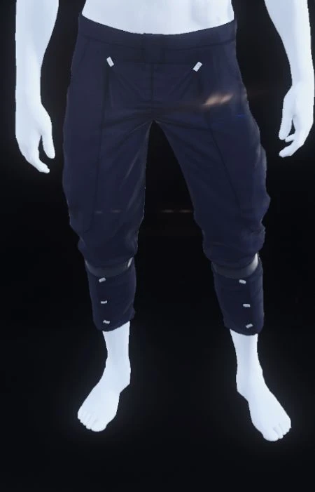 Altimont Pants Blue