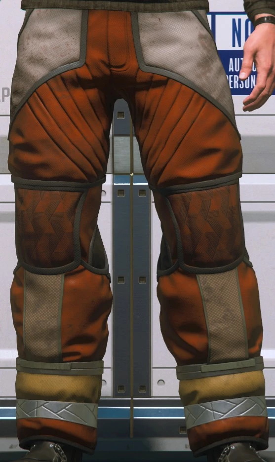Cumulus Pants Brown