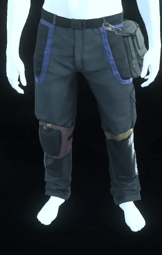 Edgewear Pants Blue
