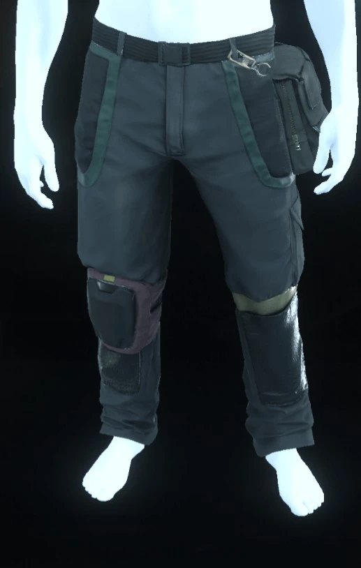 Edgewear Pants Green