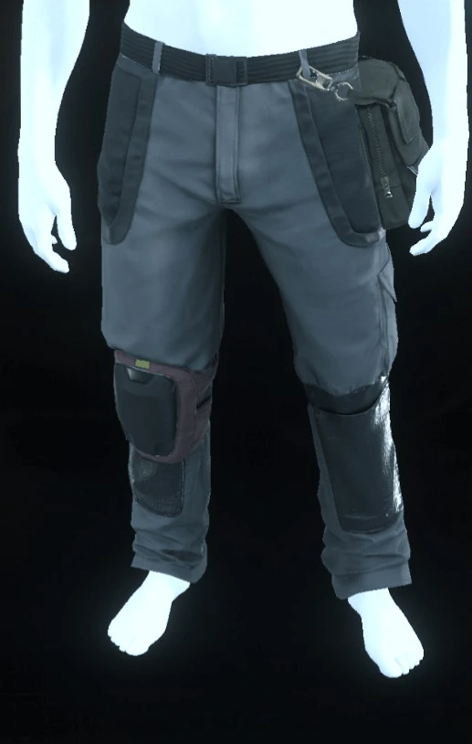 Edgewear Pants Grey