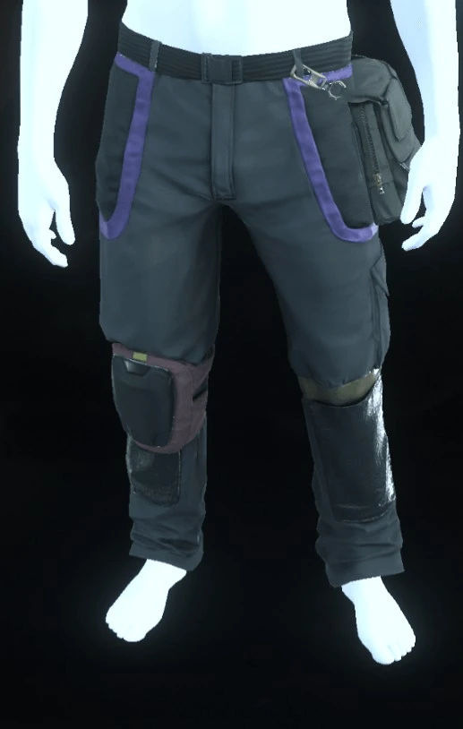 Edgewear Pants Purple