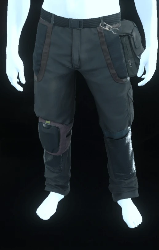 Edgewear Pants Sienna