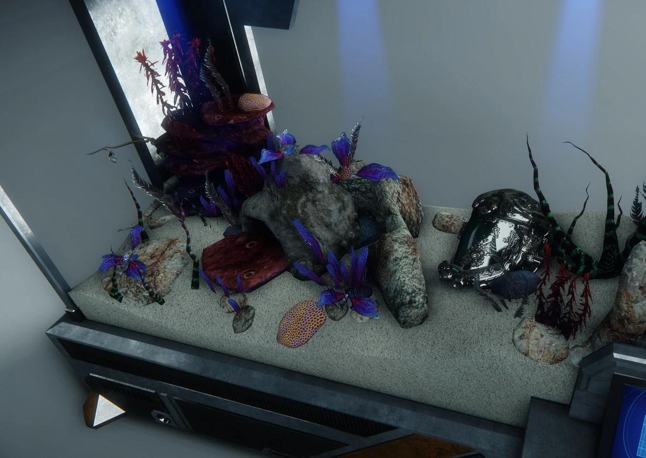 Fish Tank