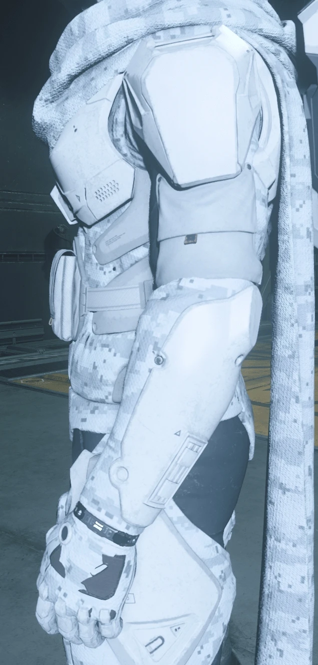 Geist Armor Arms Snow Camo