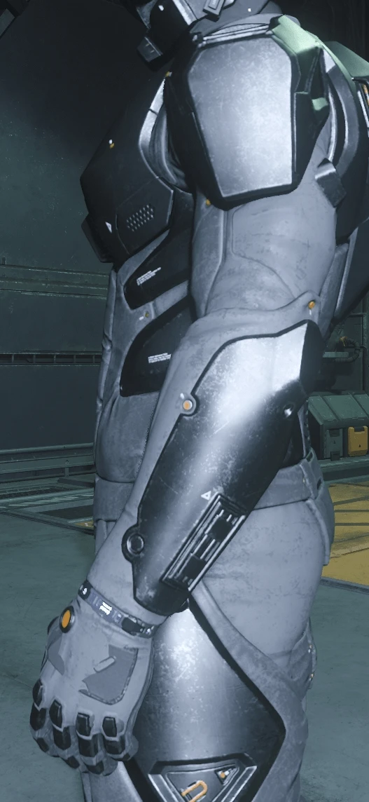 Geist Armor Arms