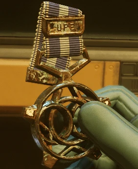 Government Cartography Agency Medal (Worn)