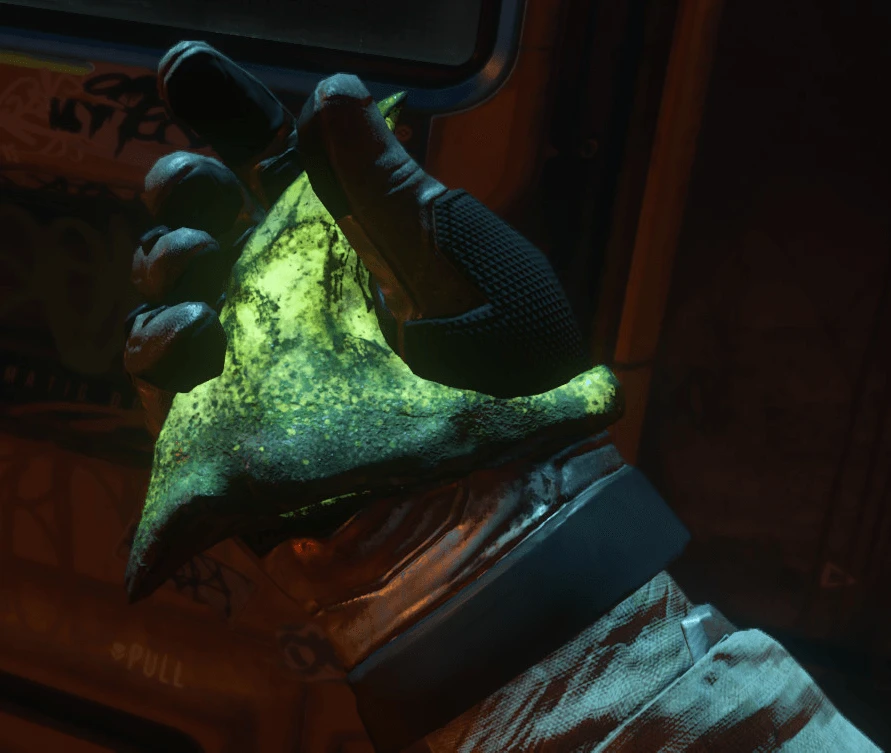 Irradiated Kopion Horn