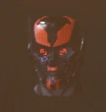 Oracle Helmet Frostline