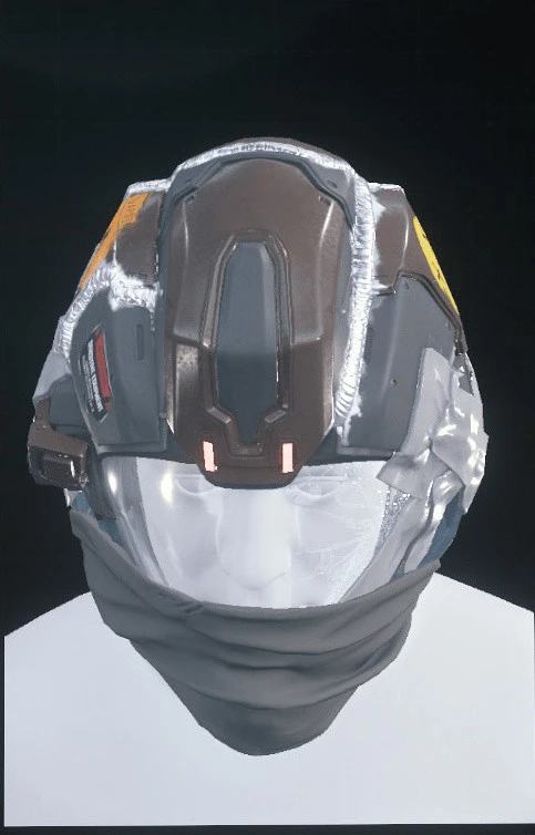 Why Not? Flight Helmet